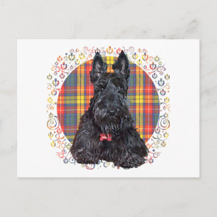 Carte Postale Scottish Terrier sur Buchanan Plaid