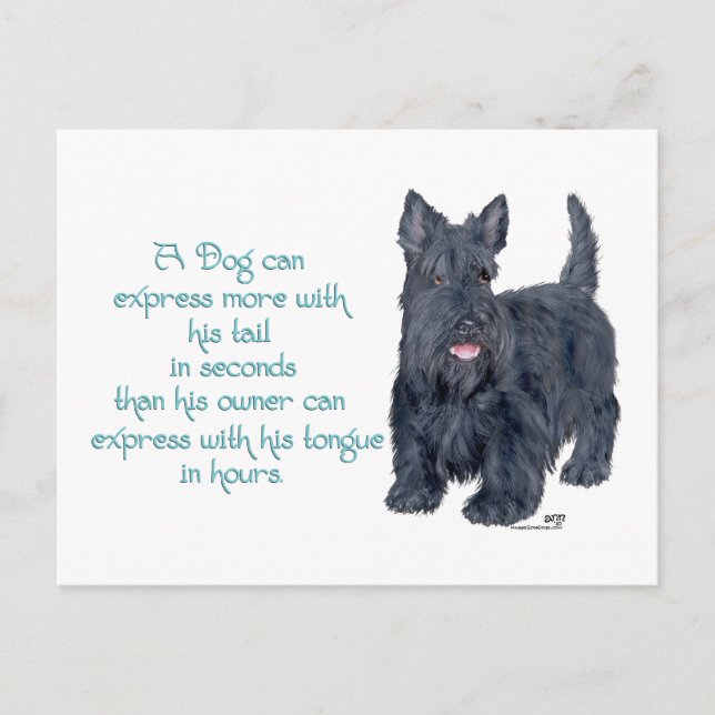 Carte Postale Scottish Terrier Wit & Wisdom - Talking (Devant)
