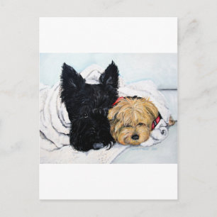 Carte Postale Scottish Terrier & Yorkie Meilleurs amis