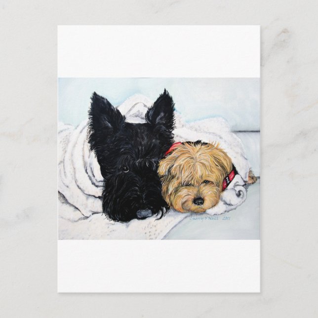 Carte Postale Scottish Terrier & Yorkie Meilleurs amis (Devant)
