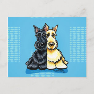 Carte Postale Scottish Terriers Deux d'un genre
