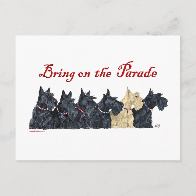 Carte Postale Scottish Terriers noirs et froment (Devant)