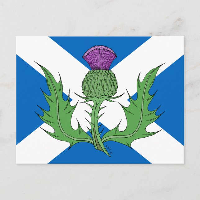 Carte Postale Scottish Thistle and Saltire (Devant)