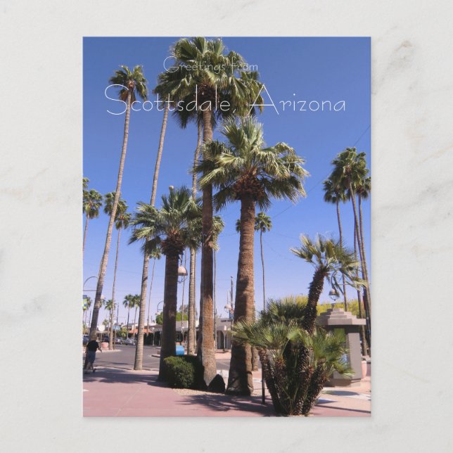 Carte postale Scottsdale, Arizona (Devant)