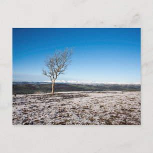 Carte Postale Scout Scar District du lac d'hiver Angleterre