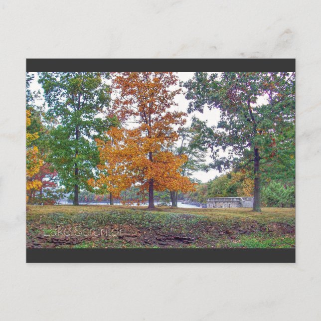 Carte postale Scranton Lake PA-Automne (Devant)