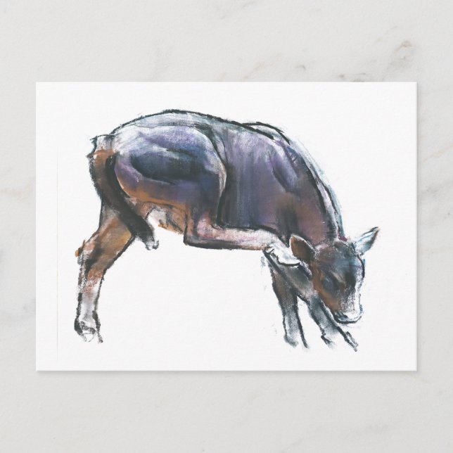 Carte Postale Scratching Calf 2006 (Devant)