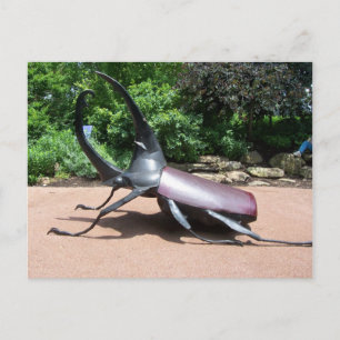 Carte Postale Sculpture d'Hercules Beetle
