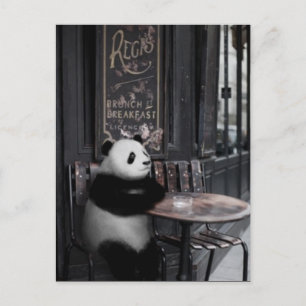 Carte Postale Se demander dans un café