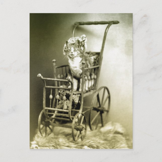 Carte Postale se promener avec kitty (Devant)