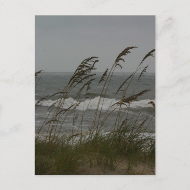 Carte Postale Sea Breeze (Devant)