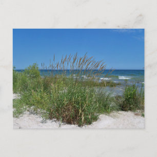 Carte Postale Sea Grass le long du bord de mer