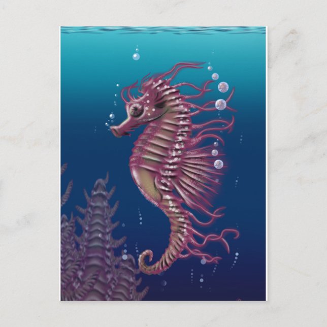 Carte postale Sea Horse (Devant)