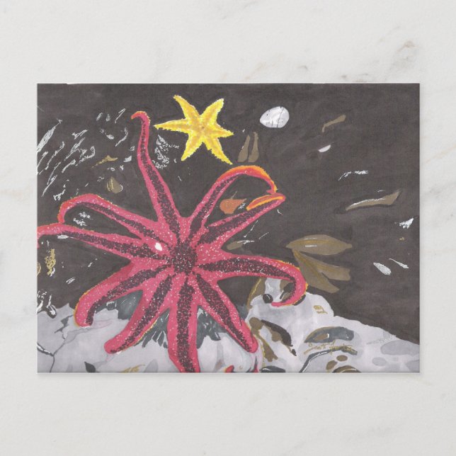 Carte Postale Sea Star (Devant)