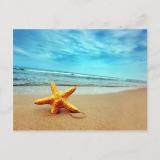 Carte Postale Sea Star Sur La Plage, Ciel bleu, Océan