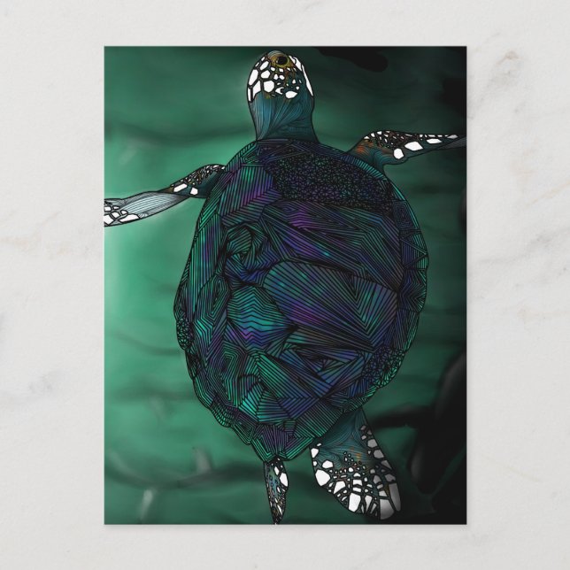 Carte Postale Sea Turtle (Devant)