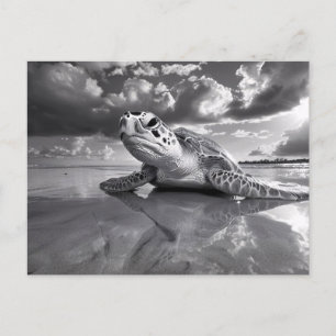 Carte Postale Sea Turtle Art noir et blanc