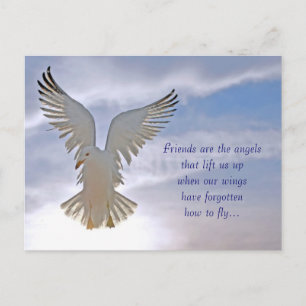 Carte postale Seagull