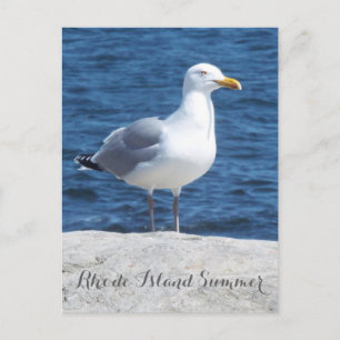 Carte postale Seagull