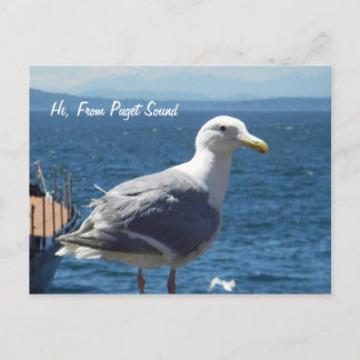 Carte postale : Seagull #1