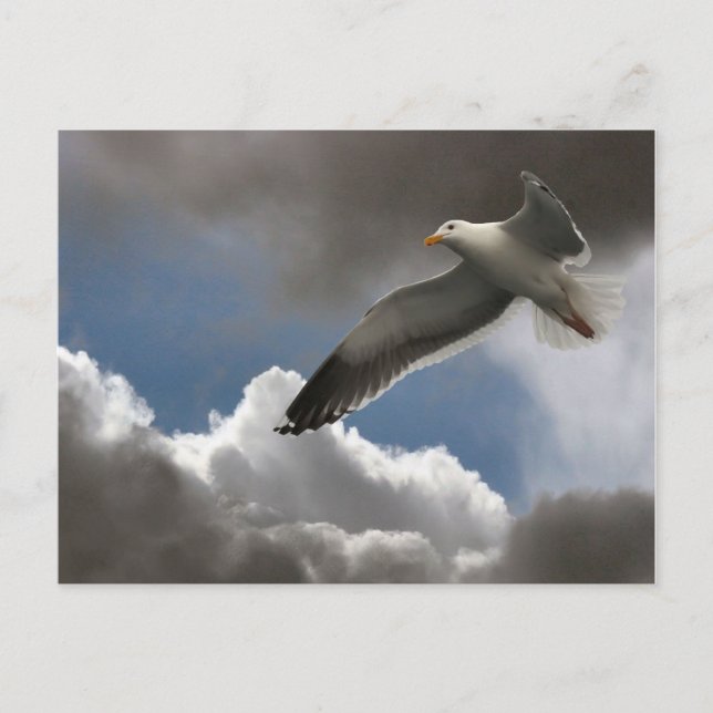 CARTE POSTALE SEAGULL DANS LES NUAGES (Devant)