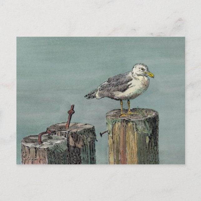 Carte Postale SEAGULL sur PILLER par SHARON SHARPE (Devant)