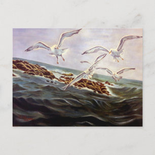 Carte postale Seaguls de gentillesse