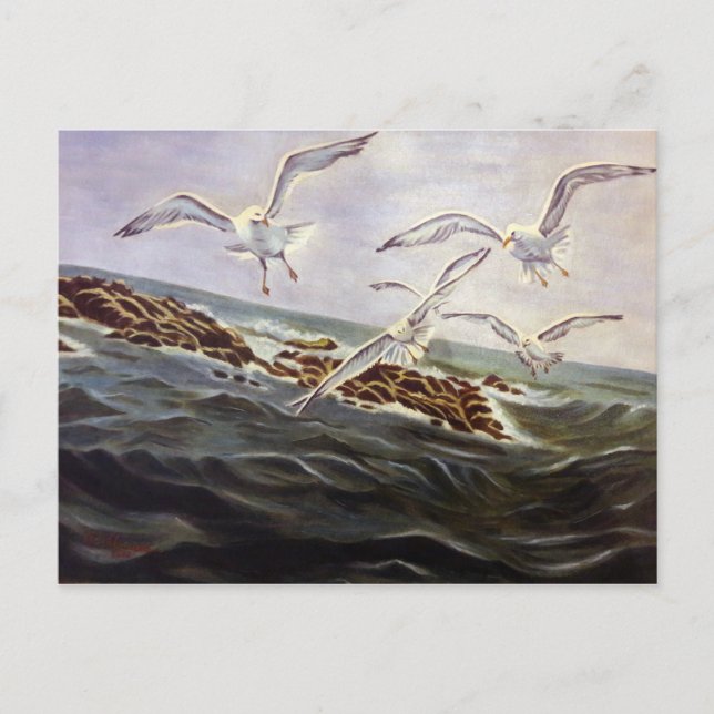 Carte postale Seaguls de gentillesse (Devant)