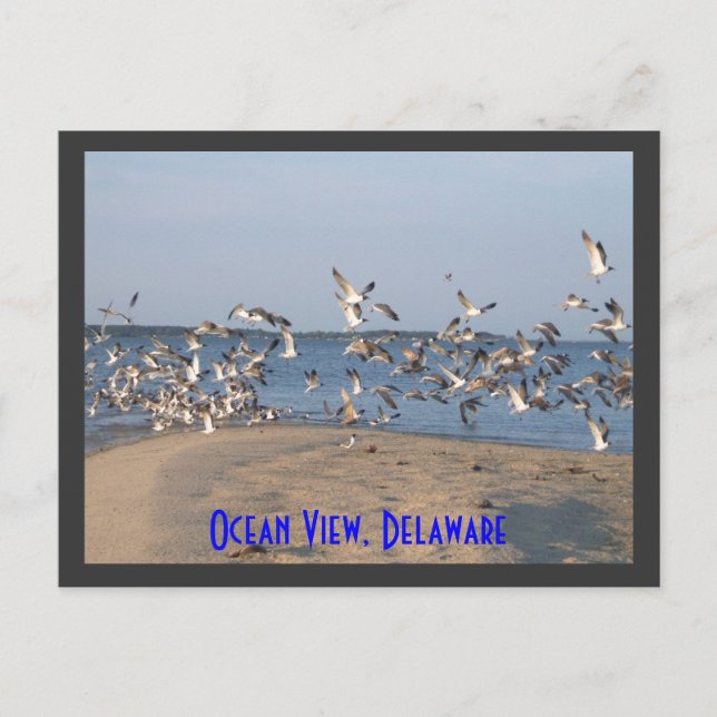 Carte postale Seaguls, Vue Océanique, Delaware (Devant)