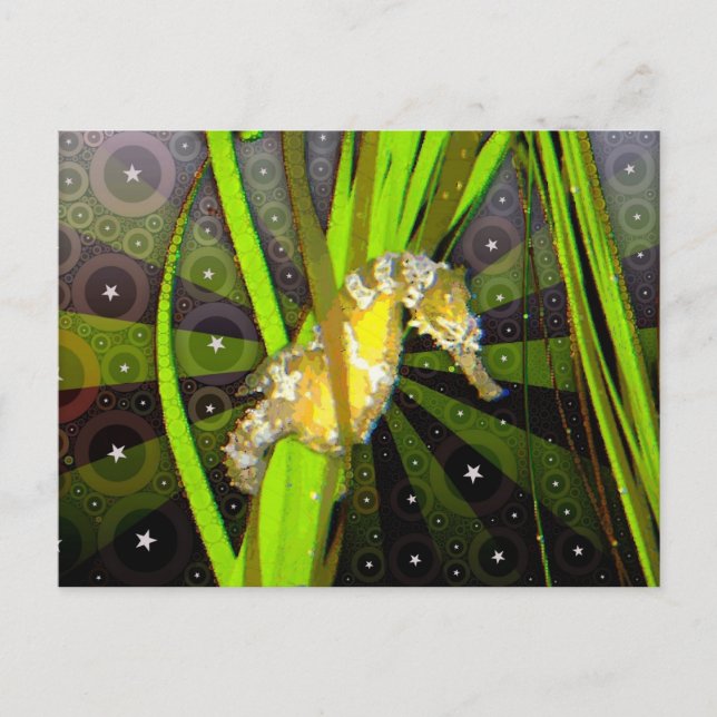 Carte postale Seahorse (Devant)