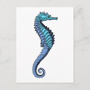 Carte Postale Seahorse