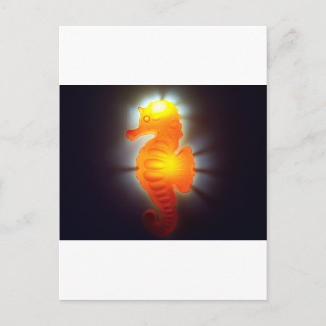 Carte Postale Seahorse (Devant)