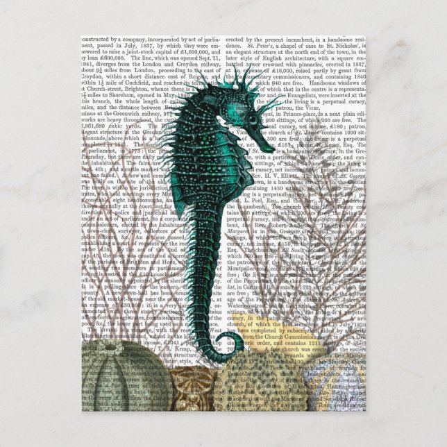 Carte Postale SeaHorse et SeaUrchins 2 (Devant)