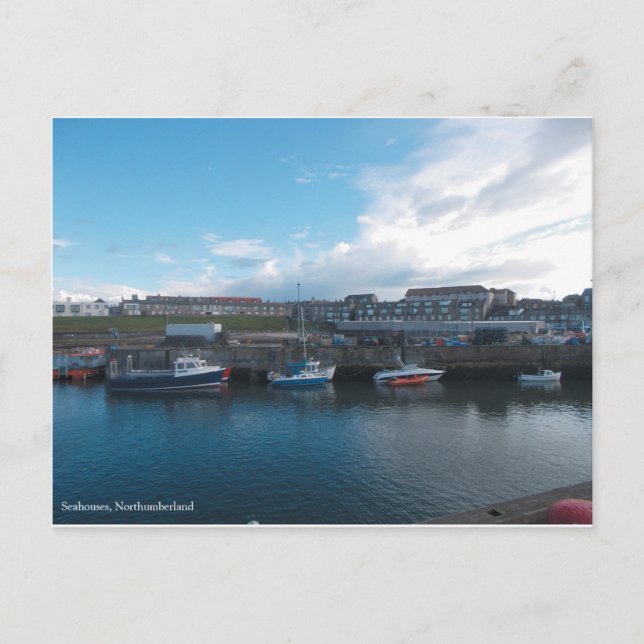 Carte Postale Seahouses Harbour - Postcard (Devant)