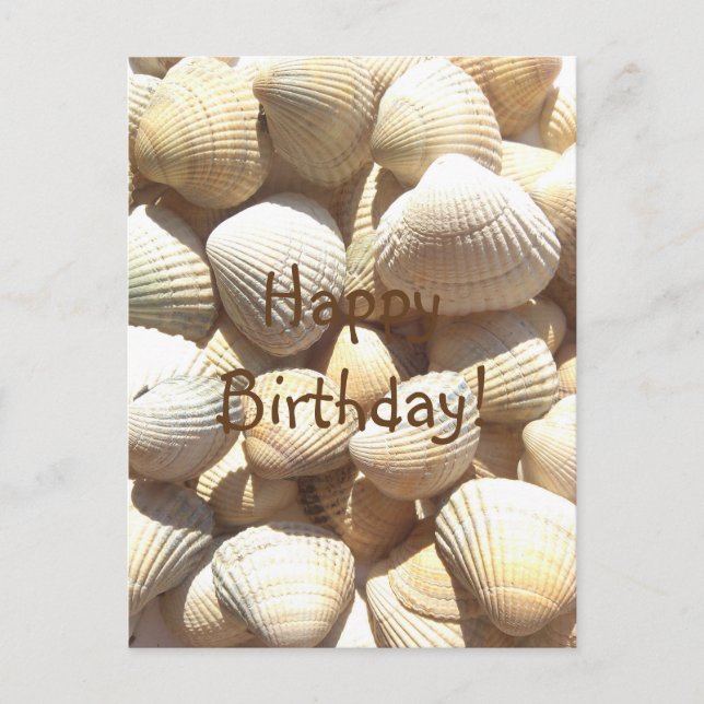 Carte Postale Seashells été, heureux anniversaire Félicitations (Devant)