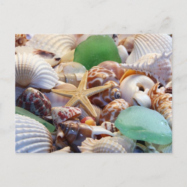Carte postale Seashfish Starfish & Beach Glass (Devant)