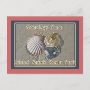Carte Postale Seashings Salutations De IBSP Seaside Park NJ