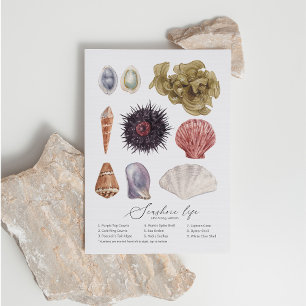 Carte postale Seashore Life