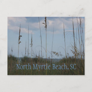 Carte Postale Seaside Dreams - North Myrtle Beach, SC