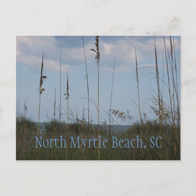 Carte Postale Seaside Dreams - North Myrtle Beach, SC (Devant)