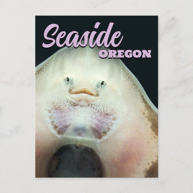 Carte Postale Seaside, Oregon Skate Animal (Devant)