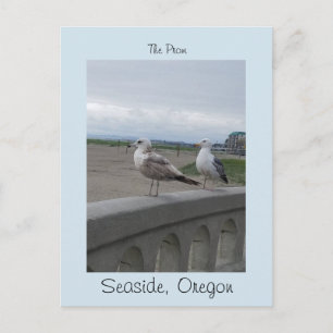 Carte Postale Seaside Oregon Two Gulls on the Beach Prom