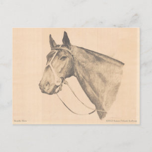 Carte Postale Seattle Slew par Susan Pelisek Kolberg