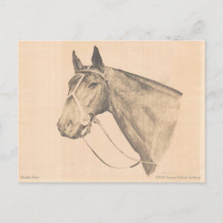Carte Postale Seattle Slew par Susan Pelisek Kolberg