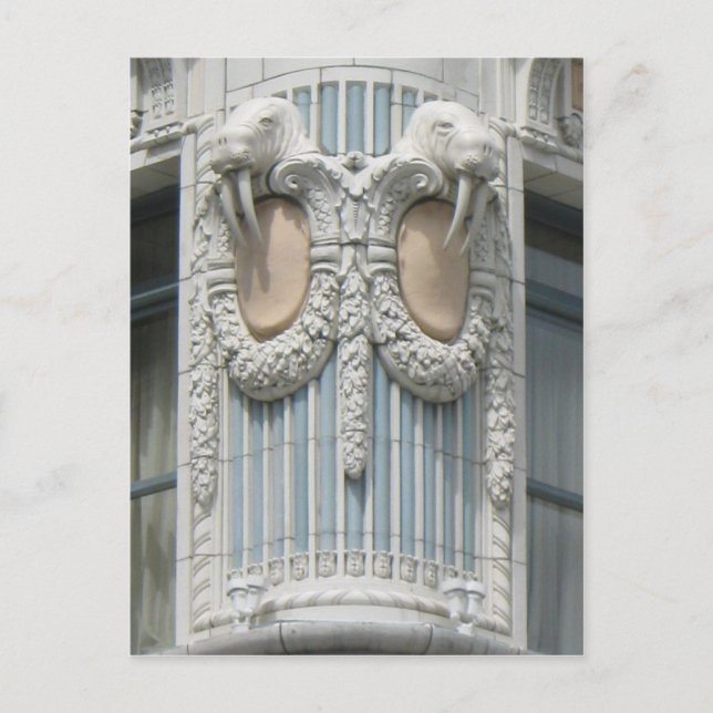 Carte Postale Seattle Walrus (Devant)