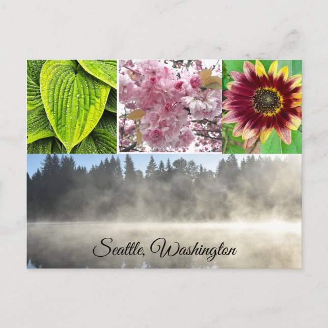 Carte Postale Seattle Washington (Devant)
