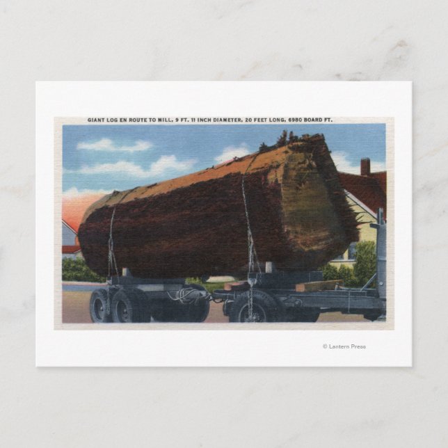 Carte Postale Seattle, Washington Giant Log en route vers Mill (Devant)