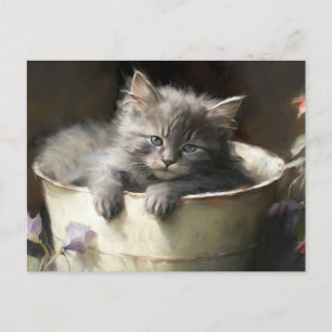 Carte Postale Seau Plein De Joie Sweet Grey Kitten