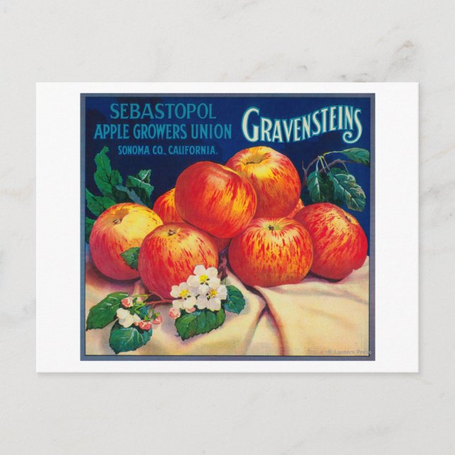 Carte Postale Sebastopol Gravensteins Apple LabelSonoma, CA (Devant)