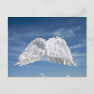 Carte Postale Sécher les ailes de l'ange.